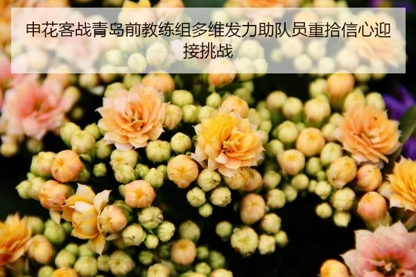 申花客战青岛前教练组多维发力助队员重拾信心迎接挑战（kaiyun）