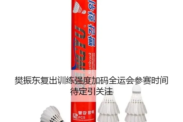 樊振东复出训练强度加码全运会参赛时间待定引关注 - kaiyun